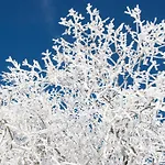 Bed & Breakfast Winterberg Bed & Breakfast