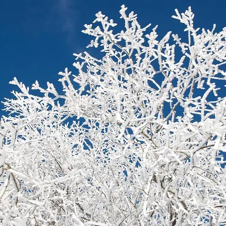 Bed & Breakfast Winterberg Готель типу 