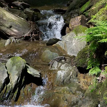 Bed & Breakfast Winterberg Bed & Breakfast Winterberg