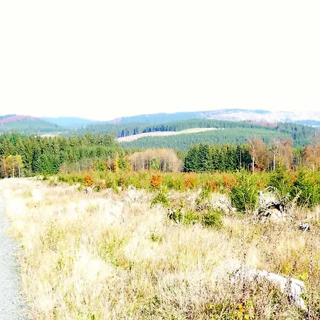 Bed & Breakfast Winterberg 3*