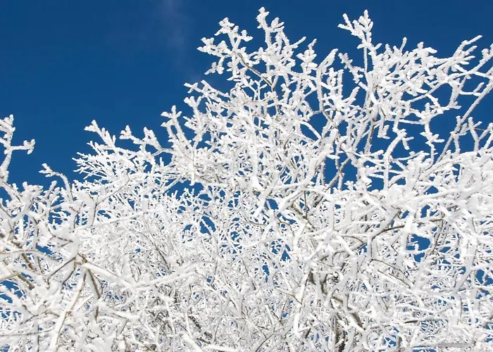 Bed & Breakfast Winterberg Bed & Breakfast