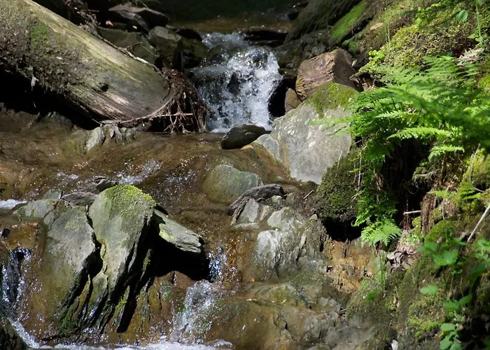 Bed & Breakfast Winterberg Bed & Breakfast Winterberg