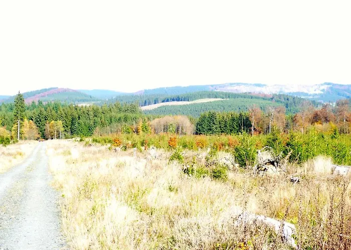 Bed & Breakfast Winterberg 3*